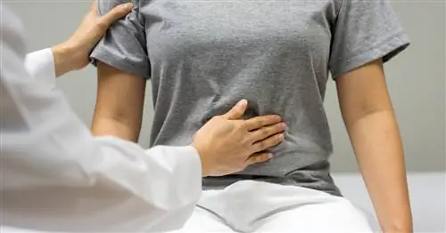 Американские ученые бьют тревогу: число случаев колоректального рака у людей до 50 лет увеличивается