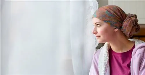 Лейкемия - причины, симптомы, лечение