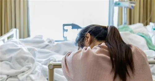 Каждые четыре часа кто-то узнает, что у него лейкемия. Реальные истории пациентов