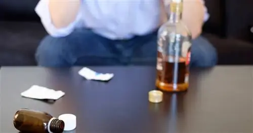 "Вшивка" от алкоголизма? Наркологи единодушны