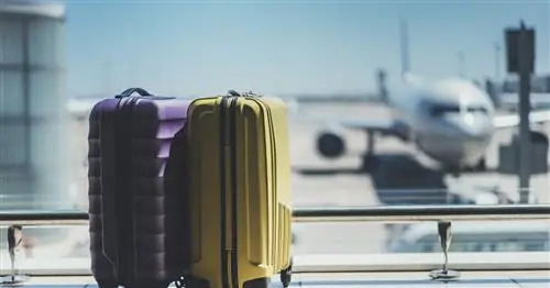 Дополнительное лечение за границей. Каковы возможности?