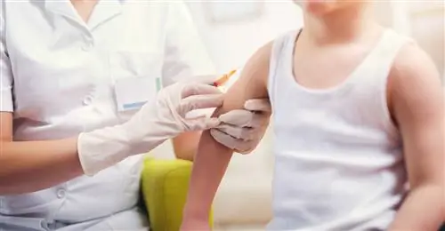 Все больше людей отказываются от обязательных прививок