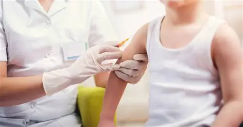 Все больше и больше родителей отказываются от вакцинации своих детей. 10-кратный рост за 10 лет