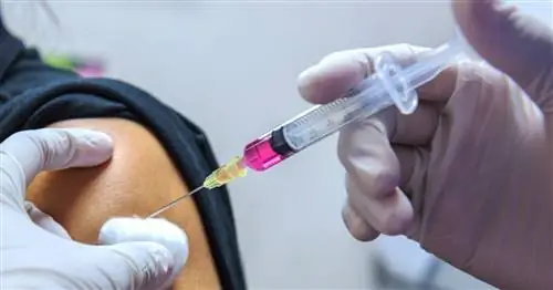 График прививок - когда делать обязательные и рекомендуемые прививки? [ОБЪЯСНЯЕМ]