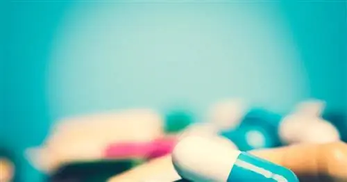 Ламизилат - действие, показания, дозировка, противопоказания