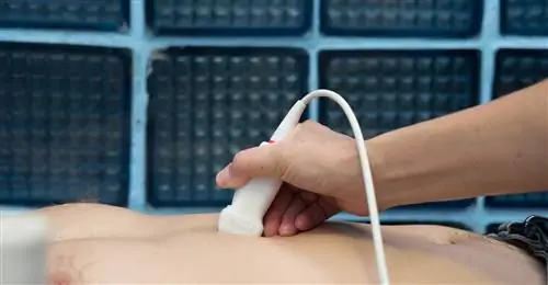 Рак поджелудочной железы долгое время не имеет симптомов