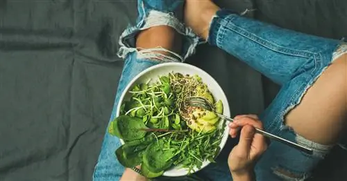 Какая диета лучше всего подходит для лечения болезни Хашимото?