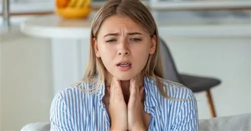 Узлы щитовидной железы. Причины, симптомы, методы лечения. Узлы щитовидной железы и рак