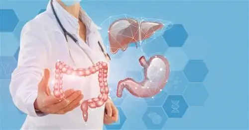 Псевдомембранозный колит – осложнение антибиотиками