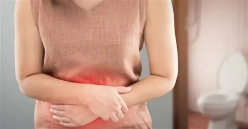 Болезнь Крона - симптомы, лечение, продолжительность терапии