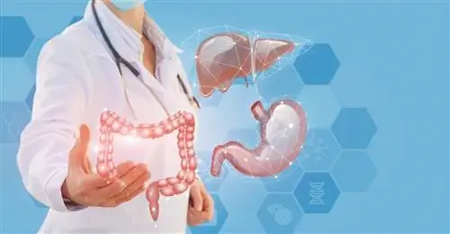 Микроскопические жильцы наших тел