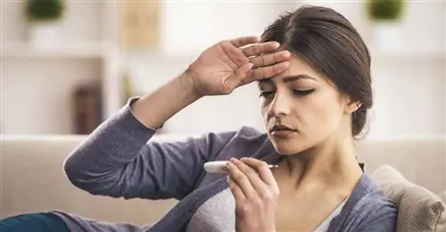 Высокая температура