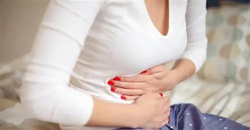 Аппендицит - причины, симптомы, лечение