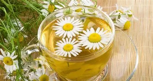 ромашка обыкновенная