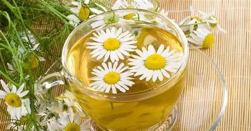 Растения, ценимые стоматологами