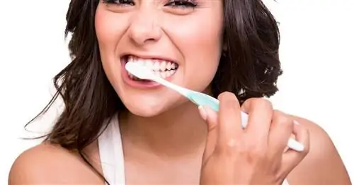 Часто ли вы чистите зубы в спешке? Вы можете навредить себе