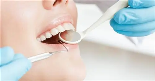 здоровые зубы