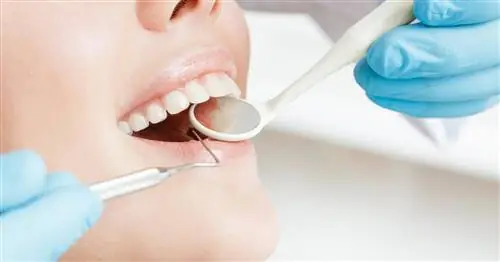 6 заповедей для здоровых зубов