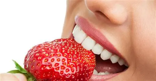 Зубы без кариеса