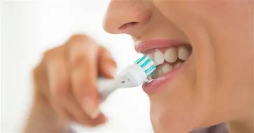 Вы так чистите зубы? Эксперт развенчивает популярные мифы