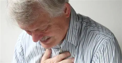 Сон в сидячем положении предотвращает изжогу