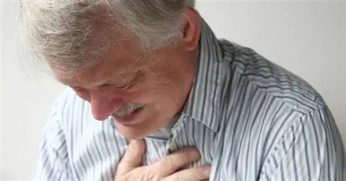 Рак пищевода - факторы риска, анализы, лечение