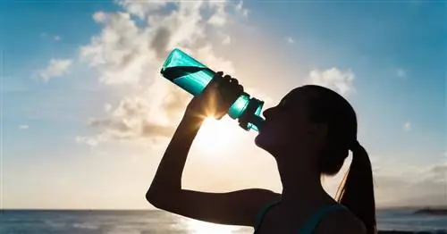 Игра в бутылочку, или секреты большей и меньшей минеральной воды