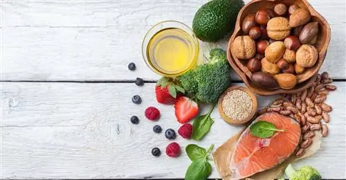 В больницах голодают больные