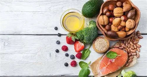 Больные голодают в больницах