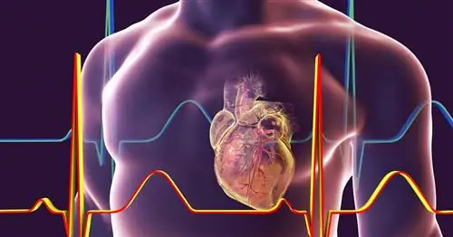 Диета при сердечных заболеваниях – снижение веса и холестерина