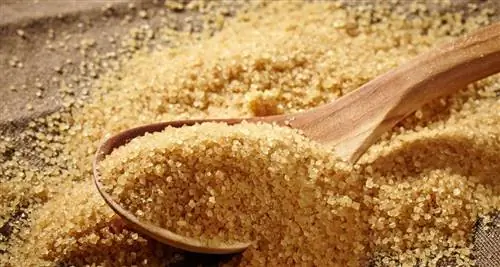 Коричневый тростниковый сахар полезнее белого свекловичного