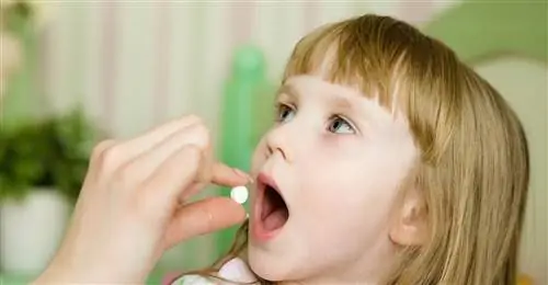 Аутизм с классом - ученик с аутизмом в системе образования