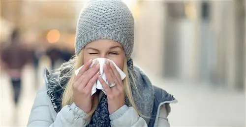 Простуда и грипп