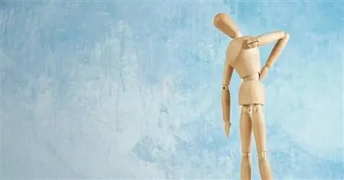 Боль прямо от мышц