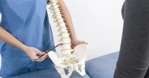 Радикулопатия - симптомы, диагностика, лечение