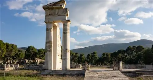 Медицинский туризм - это баснословные деньги, но коронавирус помешал его планам