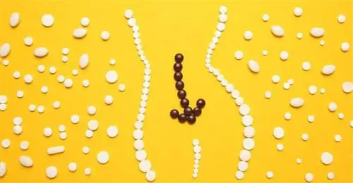 Средства от расстройства желудка