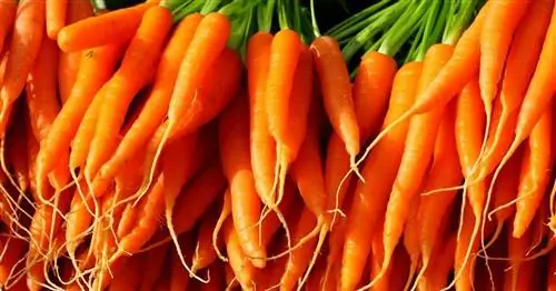 Симптомы дефицита витаминов