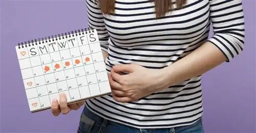 Боли в яичниках перед месячными - причины, лечение