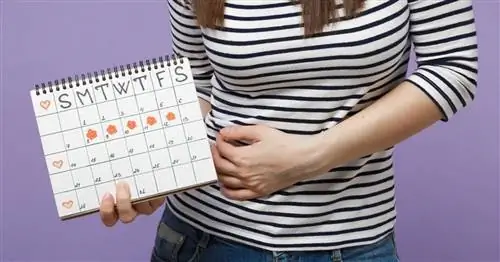 Менструальный цикл влияет на течение астмы