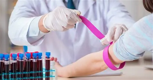 Что означает редуцированный EOS в морфологии?