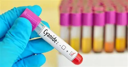 Фальсифицированные результаты теста на ВИЧ – что может стать причиной ложных результатов?