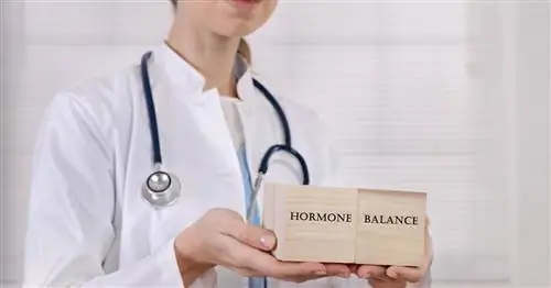 Гастрин - что это такое, когда сдавать анализы, что означает повышенный уровень гастрина?