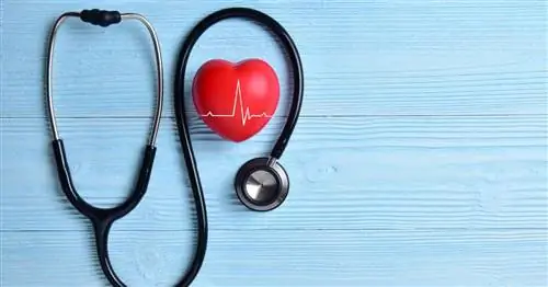 Учащенное сердцебиение - причины и симптомы эпидемии 21 века