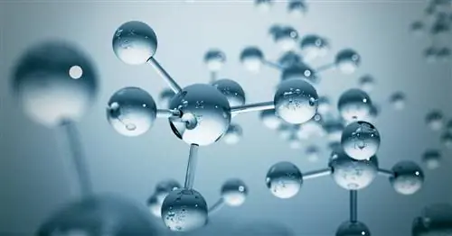 Система комплемента - определение, показания к тесту и его курс