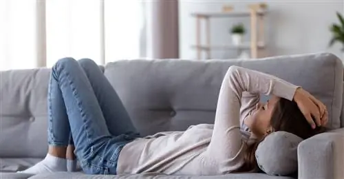 затвор 1297544821