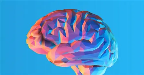 Бактериальный менингит - причины, симптомы, лечение