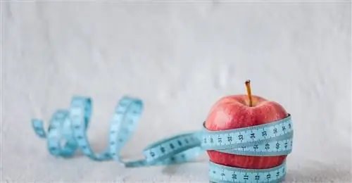 Избирательное расстройство пищевого поведения