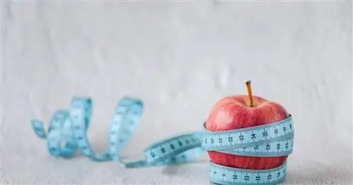 Избирательное расстройство пищевого поведения