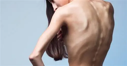 Приближается время тревог и пограничных состояний